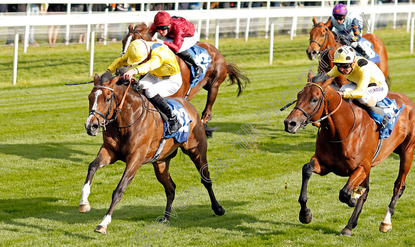 Reverend-Jacobs-0003 
 REVEREND JACOBS (left, James Doyle) beats ZEELANDER (right) in The Oaks Farm Stables Handicap York 16 May 2018 - Pic Steven Cargill / Racingfotos.com