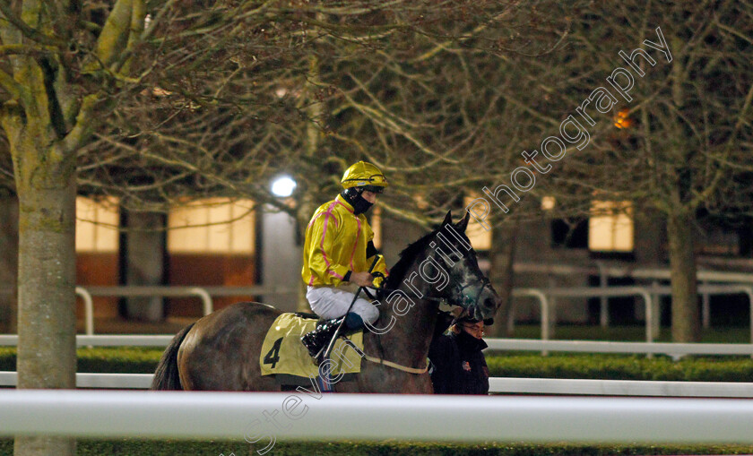 Filles-De-Fleur-0001 
 FILLES DE FLEUR (Rhys Clutterbuck)
Kempton 3 Feb 2021 - Pic Steven Cargill / Racingfotos.com