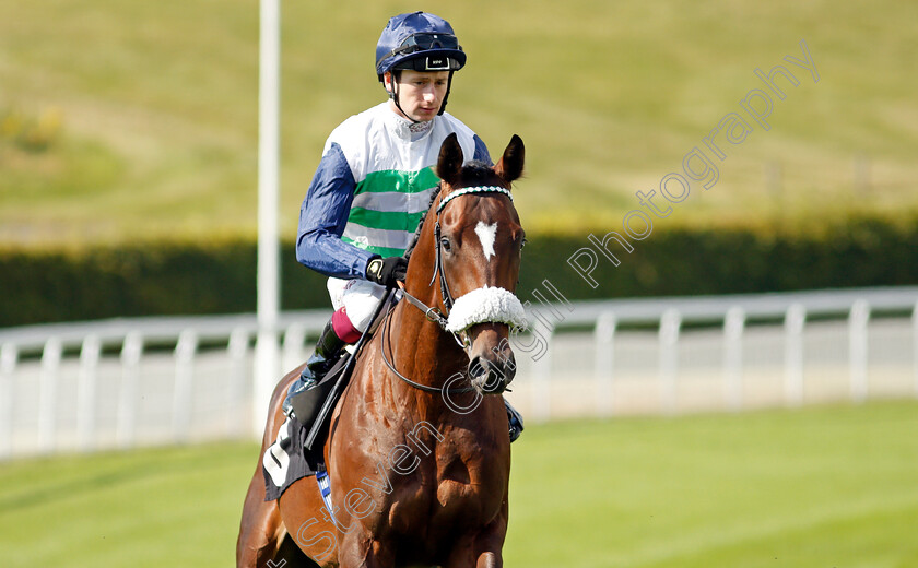 Schmilsson-0001 
 SCHMILSSON (Oisin Murphy)
Goodwood 22 Sep 2021 - Pic Steven Cargill / Racingfotos.com