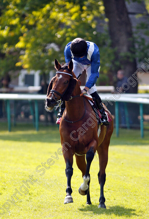 Muthmir-0001 
 MUTHMIR (James Doyle) 
Haydock 26 May 2018 - Pic Steven Cargill / Racingfotos.com