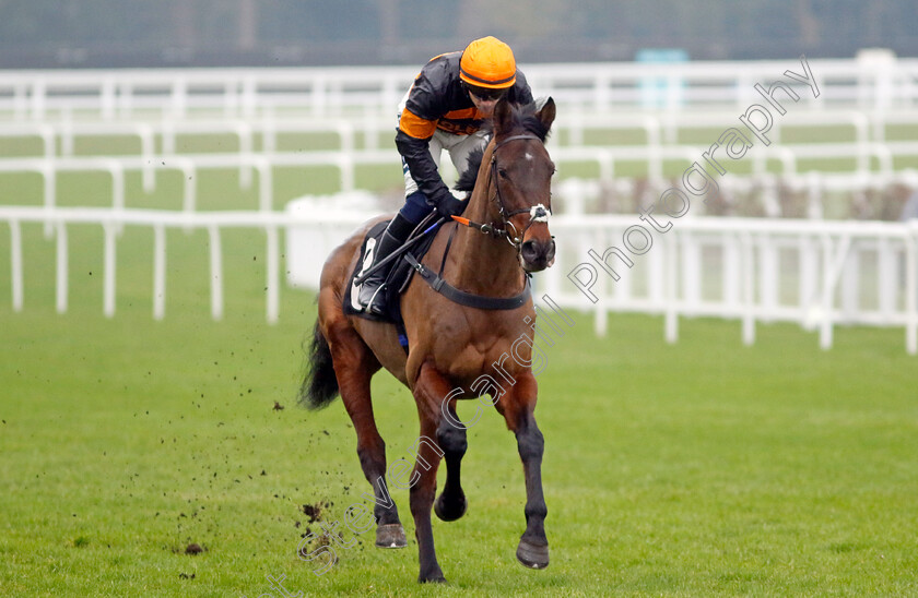 Viyanni-0001 
 VIYANNI (Jonathan Burke)
Ascot 18 Jan 2025 - Pic Steven Cargill / Racingfotos.com