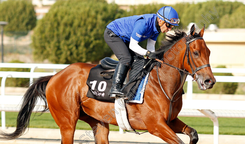 Sovereign-Prince-0002 
 SOVEREIGN PRINCE training for The Saudi Derby
King Abdulaziz Racetrack, Riyadh, Saudi Arabia 24 Feb 2022 - Pic Steven Cargill / Racingfotos.com