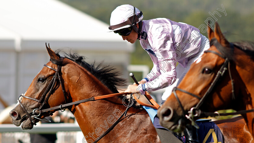 War-Rooms-0001 
 WAR ROOMS (Jim Crowley)
Royal Ascot 21 Jun 2024 - Pic Steven Cargill / Racingfotos.com