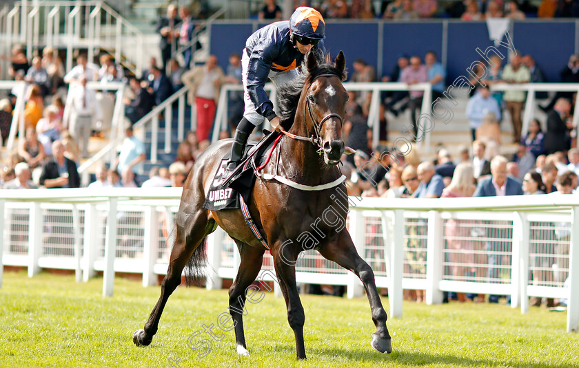 Hey-Gaman-0002 
 HEY GAMAN (P J McDonald)
Newbury 17 Aug 2019 - Pic Steven Cargill / Racingfotos.com