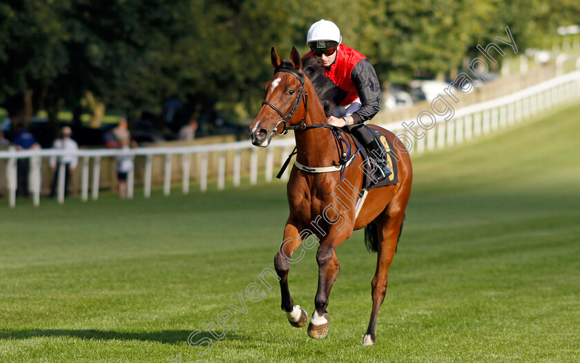 Take-The-Boat-0002 
 TAKE THE BOAT (Adam Farragher)
Newmarket 9 Aug 2024 - Pic Steven Cargill / Racingfotos.com