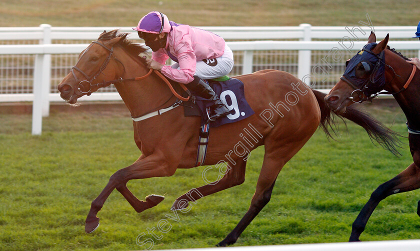 Libretti-0005 
 LIBRETTI (Tom Queally) wins The Visit attheraces.com Handicap
Yarmouth 28 Jul 2020 - Pic Steven Cargill / Racingfotos.com