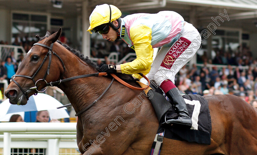 Shadn-0007 
 SHADN (Oisin Murphy) wins The Irish Thoroughbred Marketing Rose Bowl Stakes
Newbury 19 Jul 2019 - Pic Steven Cargill / Racingfotos.com