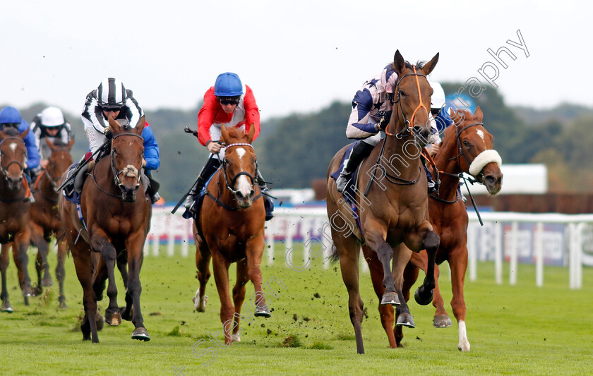 Circe-0004 
 CIRCE (Sean Levey) wins The Coopers Marquees EBF Maiden Fillies Stakes
Doncaster 15 Sep 2023 - Pic Steven Cargill / Racingfotos.com