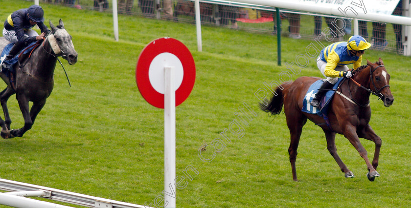 Poet s-Dawn-0004 
 POET'S DAWN (David Allan) wins The ICE COo Supporting Macmillan Handicap
York 15 Jun 2019 - Pic Steven Cargill / Racingfotos.com