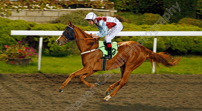 St-Andrews-0004 
 ST ANDREWS (Adam Kirby) wins The Darren Ward 50th Birthday Handicap Kempton 4 Oct 2017 - Pic Steven Cargill / Racingfotos.com