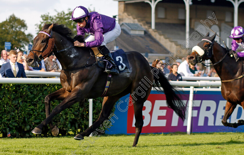 Baradar-0003 
 BARADAR (William Buick) wins The Doncaster Groundworks Reinforcements Handicap
Doncaster 15 Sep 2023 - Pic Steven Cargill / Racingfotos.com