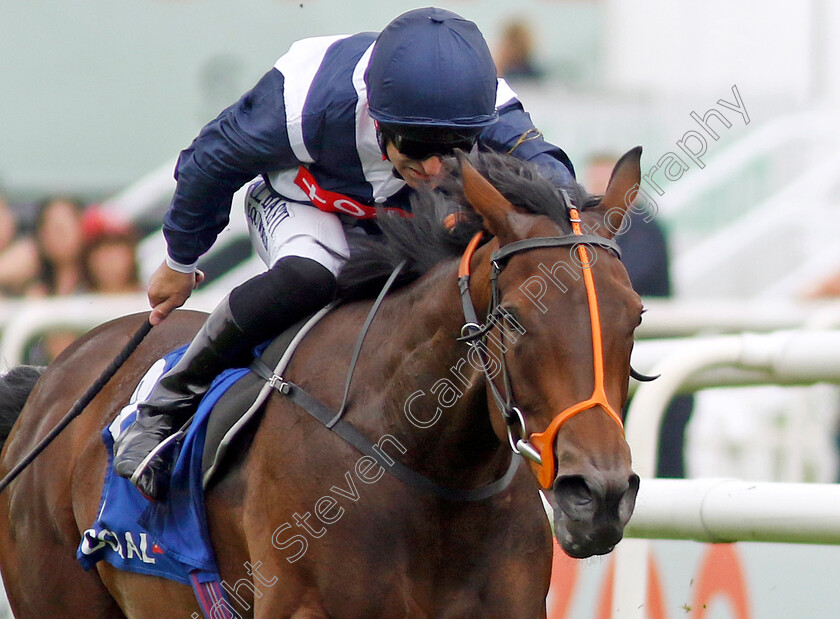 Trillium-0002 
 TRILLIUM (Pat Dobbs) wins The Coral Flying Childers Stakes
Doncaster 11 Sep 2022 - Pic Steven Cargill / Racingfotos.com