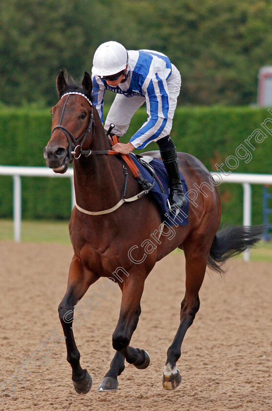 Great-Suspense-0001 
 GREAT SUSPENSE (Jason Watson)
Wolverhampton 17 Jul 2019 - Pic Steven Cargill / Racingfotos.com