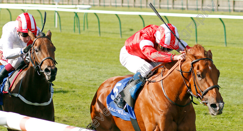 Daahyeh-0001 
 DAAHYEH (William Buick) wins The Shadwell Rockfel Stakes
Newmarket 27 Sep 2019 - Pic Steven Cargill / Racingfotos.com