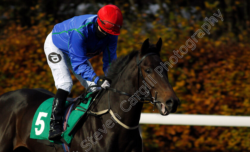 Doctor-Churchill-0001 
 DOCTOR CHURCHILL (Tom Queally)
Kempton 11 Nov 2020 - Pic Steven Cargill / Racingfotos.com