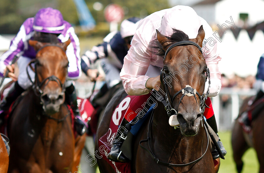 Too-Darn-Hot-0009 
 TOO DARN HOT (Frankie Dettori) wins The Qatar Sussex Stakes
Goodwood 31 Jul 2019 - Pic Steven Cargill / Racingfotos.com