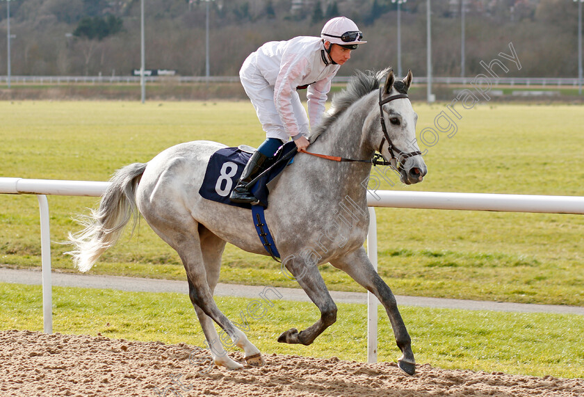 Fauvette 
 FAUVETTE (Callum Shepherd)
Wolverhampton 12 Mar 2022 - Pic Steven Cargill / Racingfotos.com