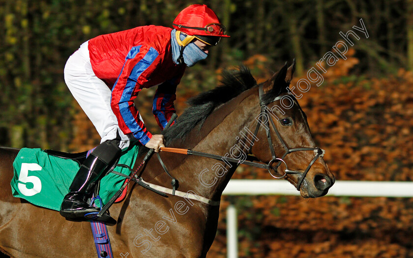 He-Can-Dance-0001 
 HE CAN DANCE (John Egan)
Kempton 13 Jan 2021 - Pic Steven Cargill / Racingfotos.com