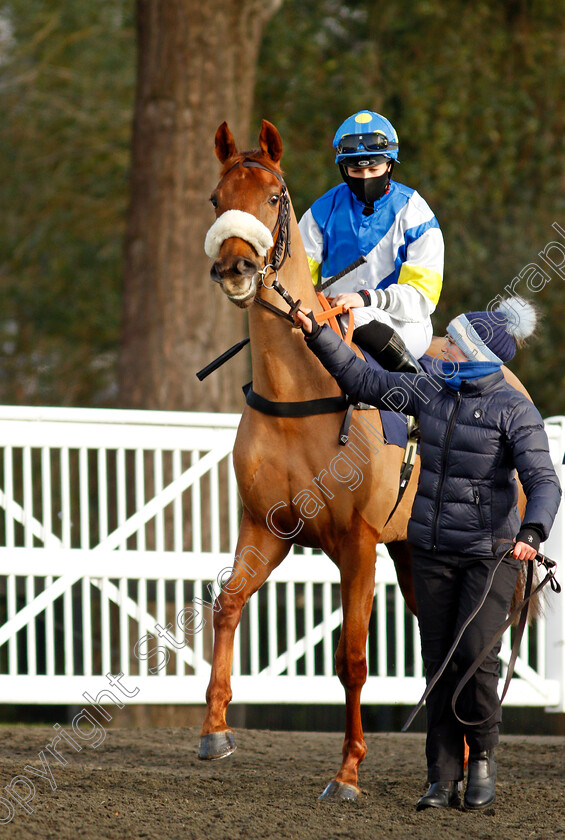 Raajihah-0001 
 RAAJIHAH (Joanna Mason)
Lingfield 9 Jan 2021 - Pic Steven Cargill / Racingfotos.com