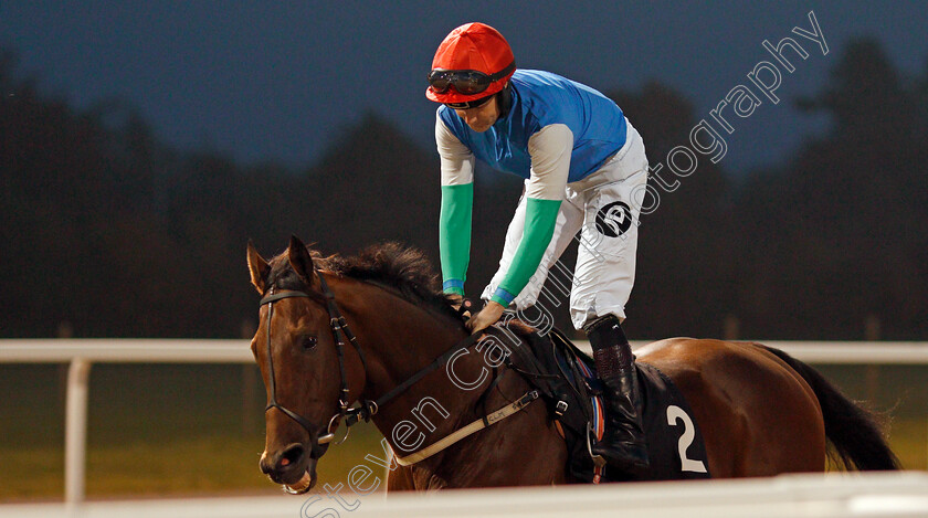 Iballisticvin-0001 
 IBALLISTICVIN (Tom Queally) Chelmsford 26 Sep 2017 - Pic Steven Cargill / Racingfotos.com