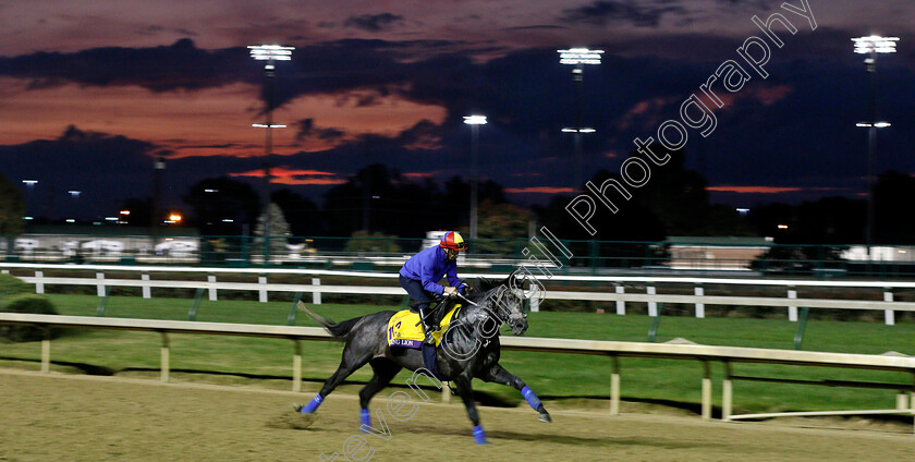 Roaring-Lion-0002 
 ROARING LION (Frankie Dettori) exercising ahead of The Breeders' Cup Classic
Churchill Downs USA 31 Oct 2018 - Pic Steven Cargill / Racingfotos.com