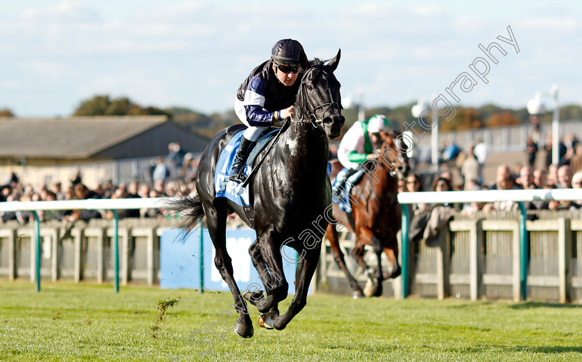 Topgear-0006 
 TOPGEAR (Stephane Pasquier) wins The Thoroughbred Industry Employee Awards Challenge Stakes
Newmarket 11 Oct 2024 - pic Steven Cargill / Racingfotos.com