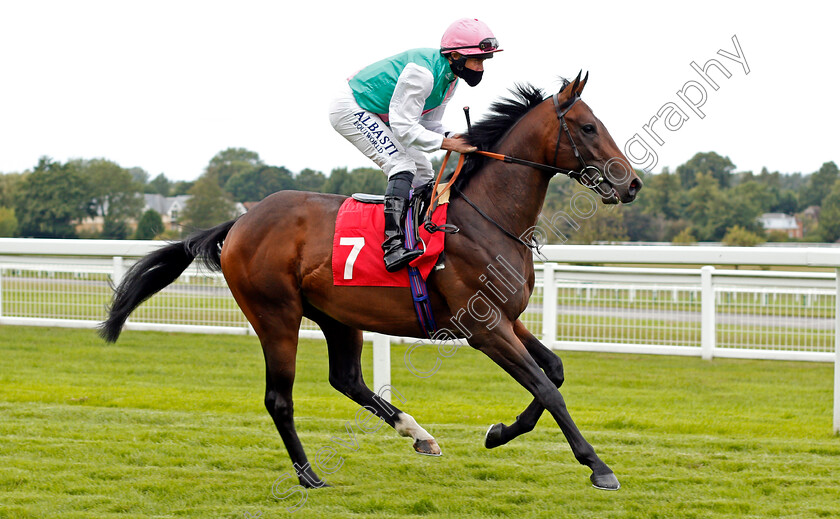 Maximal-0001 
 MAXIMAL (Ryan Moore)
Sandown 23 Aug 2020 - Pic Steven Cargill / Racingfotos.com