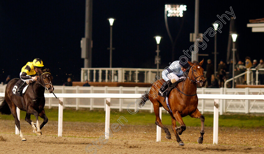 Fantail-0006 
 FANTAIL (Joe Fanning) beats ISLAND HIDEAWAY (left) in The Bet totetrifecta At totesport.com EBF Fillies Novice Stakes
Chelmsford 19 Nov 2019 - Pic Steven Cargill / Racingfotos.com