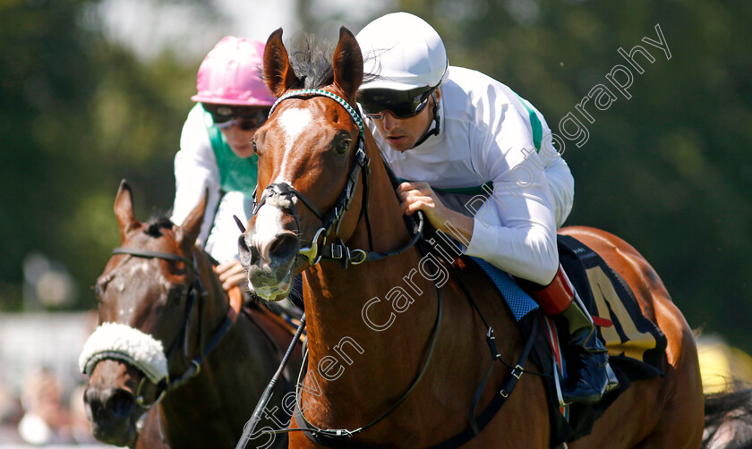 Epictetus-0009 
 EPICTETUS (Martin Harley) wins The Weatherbys British EBF Maiden Stakes
Newmarket 8 Jul 2022 - Pic Steven Cargill / Racingfotos.com