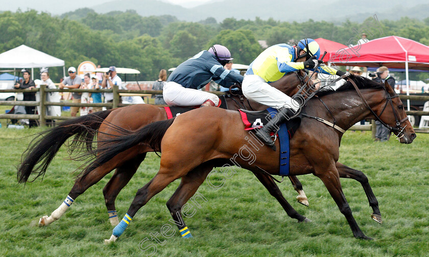 Scorpiancer-0007 
 SCORPIANCER (Sean McDermott) wins The Calvin Houghland Iroquois Grade1
Percy Warner Park, Nashville Tennessee USA, 11 May 2019 - Pic Steven Cargill / Racingfotos.com