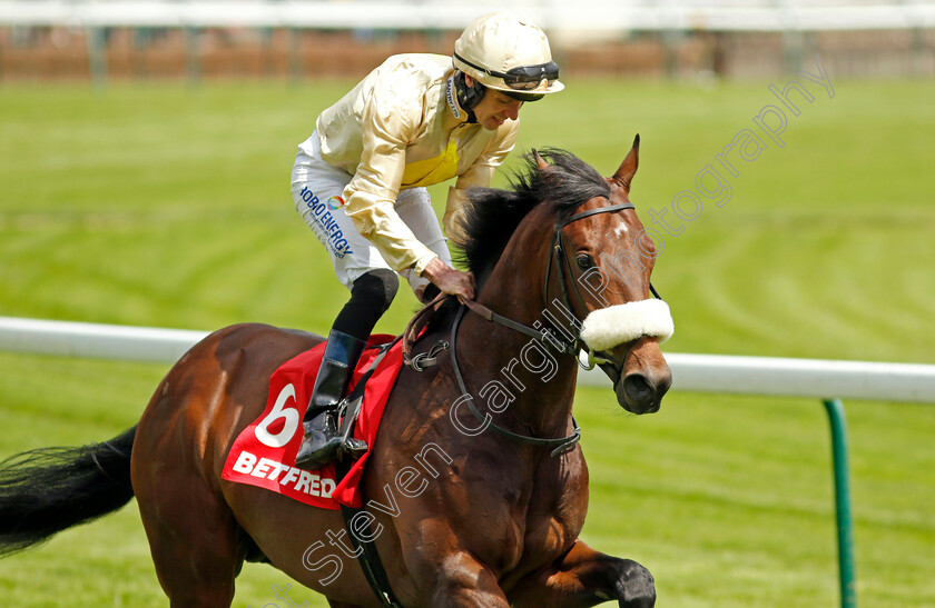 Apiarist-0001 
 APIARIST (Tom Eaves)
Haydock 25 May 2024 - Pic Steven cargill / Racingfotos.com