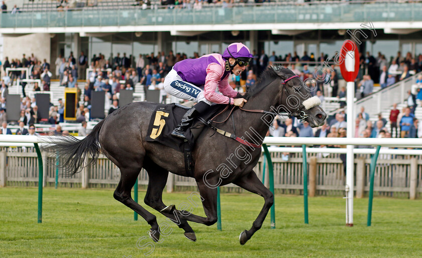 Azure-Blue-0002 
 AZURE BLUE (Paul Mulrennan) wins The British Stallion Studs EBF Premier Fillies Handicap
Newmarket 22 Sep 2022 - Pic Steven Cargill / Racingfotos.com