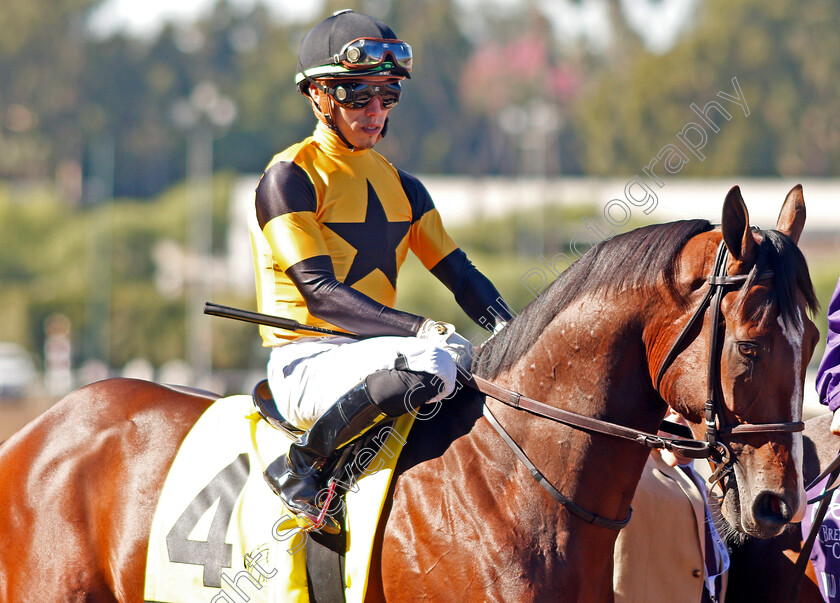 Decorated-Invader-0001 
 DECORATED INVADER (Irad Ortiz)
Santa Anita 1 Nov 2019 - Pic Steven Cargill / Racingfotos.com