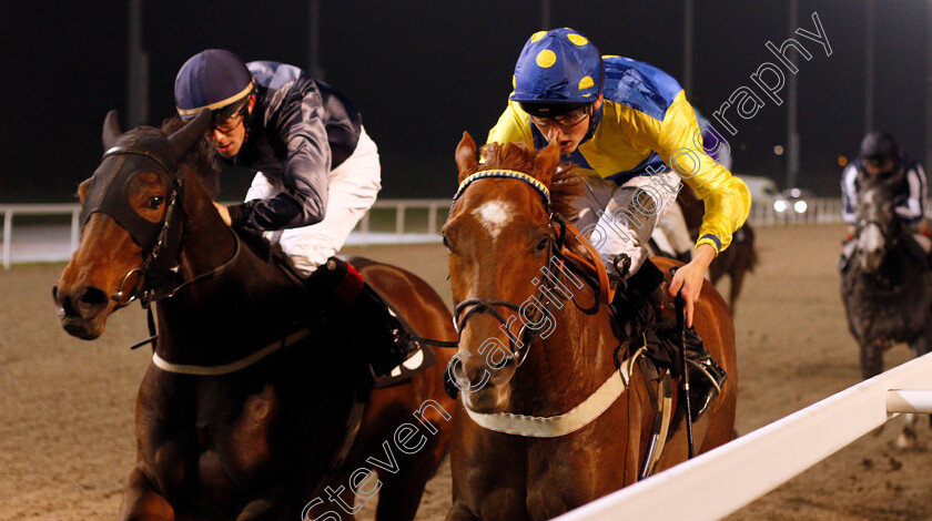 Zefferino-0002 
 ZEFFERINO (right, George Wood) beats J'OUVERT (left) in the Double Delight Hat Trick Heaven At totesport.com Handicap
Chelmsford 24 Oct 2019 - Pic Steven Cargill / Racingfotos.com