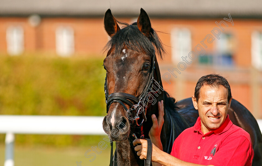 Young-Rascal-0016 
 YOUNG RASCAL after exercising at Epsom Racecourse in preparation for The Investec Derby, 22 May 2018 - Pic Steven Cargill / Racingfotos.com