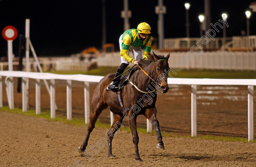 Lancelot-Du-Lac-0002 
 LANCELOT DU LAC (George Downing)
Chelmsford 8 Oct 2020 - Pic Steven Cargill / Racingfotos.com