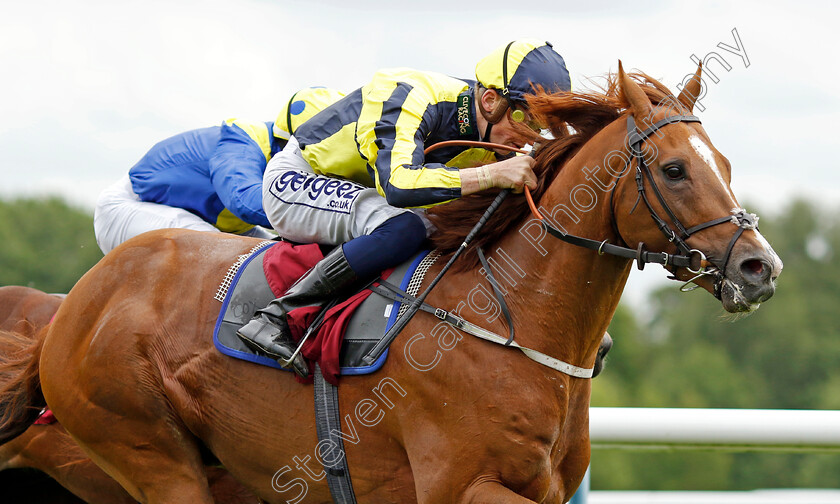 Whoputfiftyinyou-0009 
 WHOPUTFIFTYINYOU (David Probert) wins The Cazoo Silver Bowl Handicap
Haydock 21 May 2022 - Pic Steven Cargill / Racingfotos.com