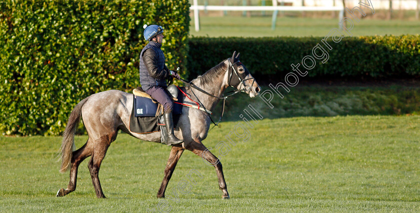 Riviere-d Etel-0003 
 RIVIERE D'ETEL exercising on the eve of the Cheltenham Festival
Cheltenham 14 Mar 2022 - Pic Steven Cargill / Racingfotos.com