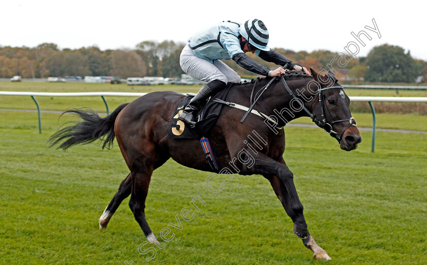 Mustarrid-0004 
 MUSTARRID (Paul Hanagan) wins The Covered By Mansionbets Beaten By A Head Handicap
Nottingham 28 Oct 2020 - Pic Steven Cargill / Racingfotos.com