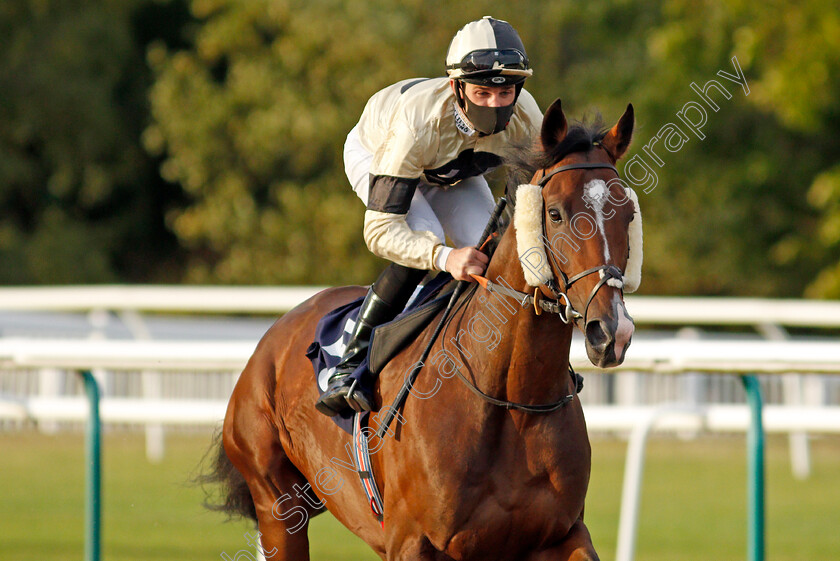 Exclaim-0001 
 EXCLAIM (Charles Bishop)
Lingfield 5 Aug 2020 - Pic Steven Cargill / Racingfotos.com