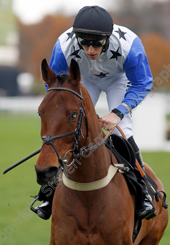 One-Eye-On-Vegas-0002 
 ONE EYE ON VEGAS (Ciaran Gethings)
Warwick 22 Nov 2023 - Pic Steven Cargill / Racingfotos.com