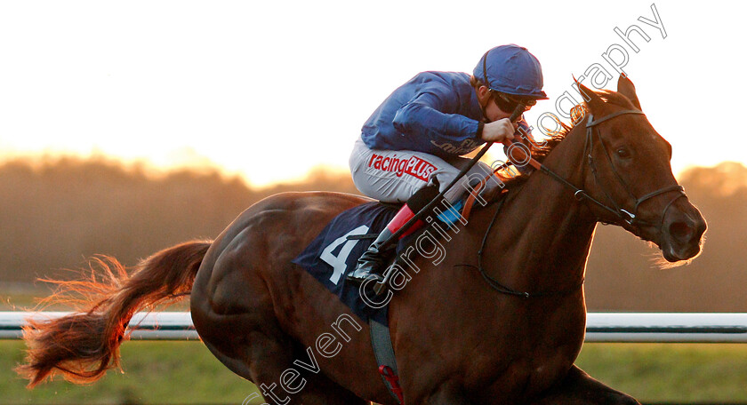 Caliandra-0005 
 CALLIANDRA (Kieran O'Neill) wins The 32Red Maiden Fillies Stakes Lingfield 10 Jan 2018 - Pic Steven Cargill / Racingfotos.com