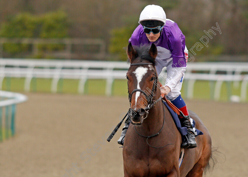 Intern-0001 
 INTERN (Fran Berry) Lingfield 6 Dec 2017 - Pic Steven Cargill / Racingfotos.com