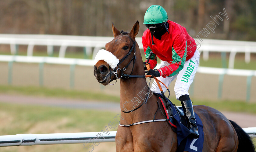 Endlessly-0001 
 ENDLESSLY (Jamie Spencer) winner of The Betway Live Casino Maiden Stakes
Lingfield 2 Feb 2019 - Pic Steven Cargill / Racingfotos.com