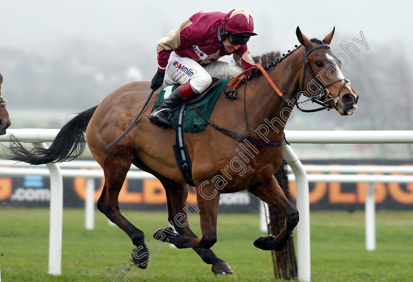 Ozzie-The-Oscar-0005 
 OZZIE THE OSCAR (Richard Johnson) wins The Cheltenham Club Handicap Chase
Cheltenham 15 Dec 2018 - Pic Steven Cargill / Racingfotos.com