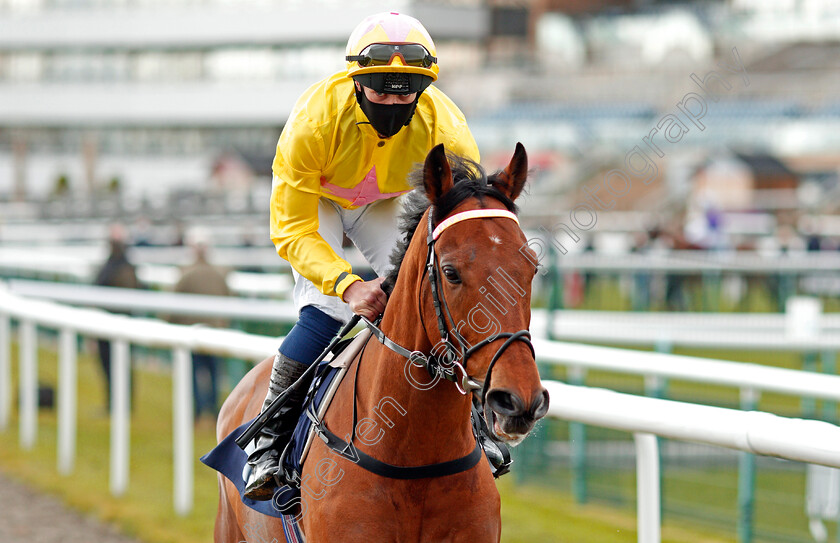 Dirty-Rascal-0001 
 DIRTY RASCAL (Mark Crehan)
Doncaster 28 Mar 2021 - Pic Steven Cargill / Racingfotos.com