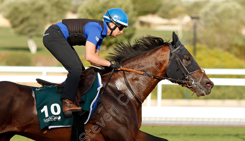 Real-World-0005 
 REAL WORLD training for The Saudi Cup
King Abdulaziz Racetrack, Riyadh, Saudi Arabia 24 Feb 2022 - Pic Steven Cargill / Racingfotos.com