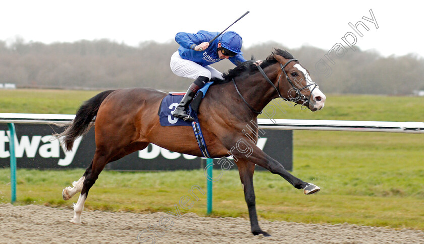 Pitcher s-Point-0005 
 PITCHER'S POINT (Robert Havlin) wins The Ladbrokes Where The Nation Plays Novice Stakes
Lingfield 4 Mar 2020 - Pic Steven Cargill / Racingfotos.com