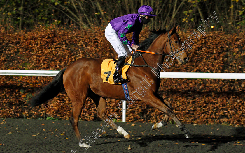 Purple-Poppy-0001 
 PURPLE POPPY (Mark Crehan)
Kempton 2 Dec 2020 - Pic Steven Cargill / Racingfotos.com