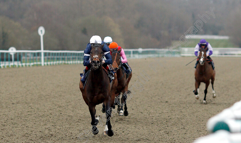 Swiss-Pride-0004 
 SWISS PRIDE (Shane Kelly) wins The Betway Maiden Stakes
Lingfield 2 Mar 2019 - Pic Steven Cargill / Racingfotos.com